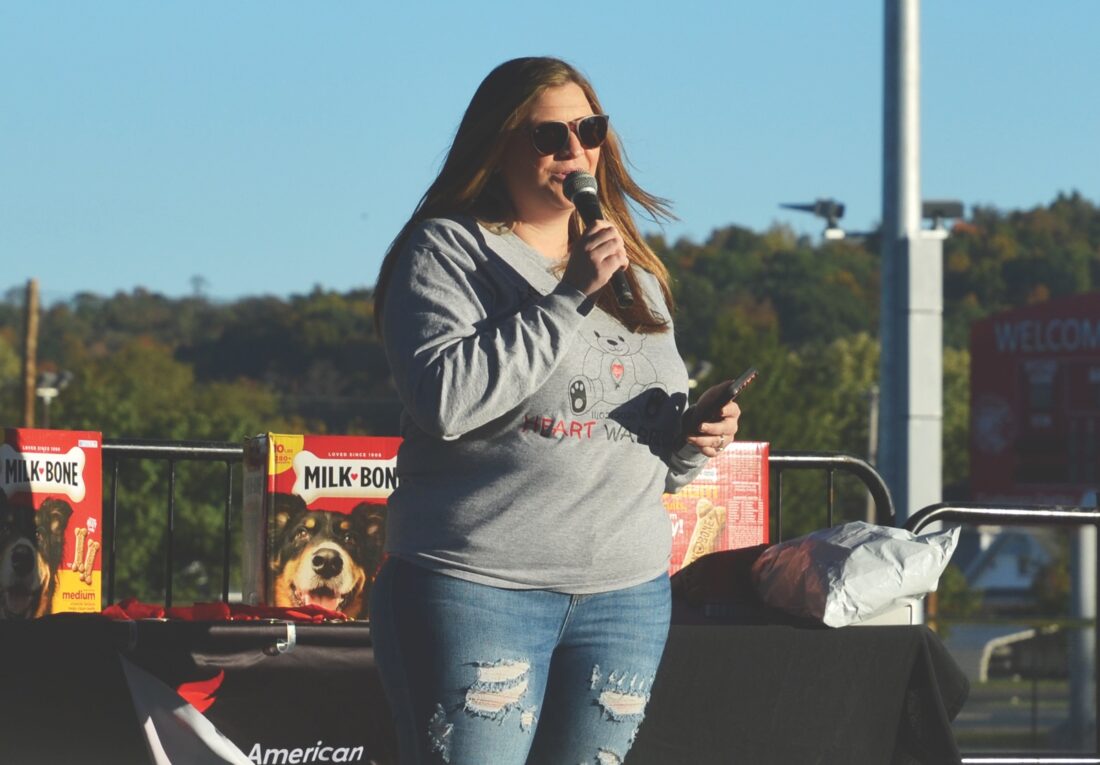 American Heart Association MidOhio Valley Heart Walk at City Park News, Sports, Jobs